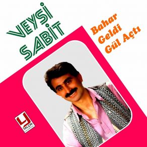 Download track Dere Kenarından Geçtim Veysi Sabit