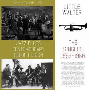 Download track Tonight With A Fool Little Walter