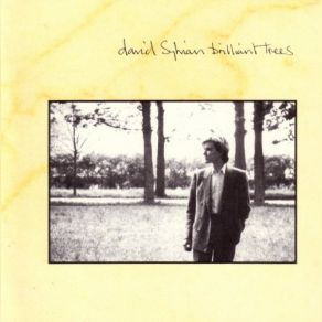 Download track Red Guitar David Sylvian
