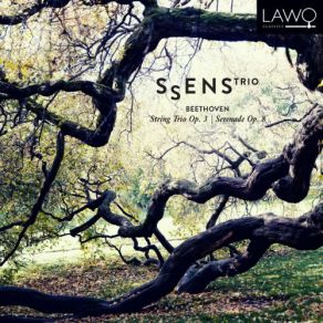 Download track String Trio In E-Flat Major, Op. 3: III. Menuetto. Allegretto Sølve Sigerland, Henninge Landaas, Ssens Trio, Ellen Flesjø