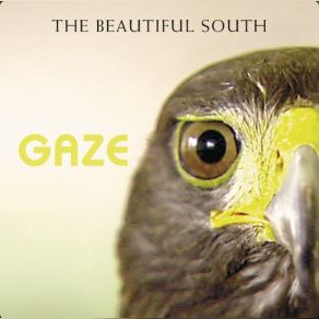 Download track Just A Few Things That I Ain't Beautiful South, The