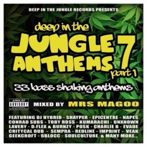Download track Changing Direction Skerce