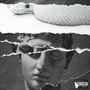 Download track Not The Same Dev The Follower