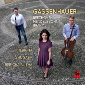 Download track Clarinet Trio In A Minor, Op. 114 IV. Allegro Milan Rericha