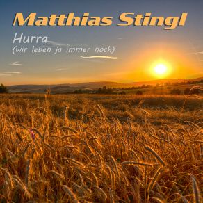Download track Sie War Heiss... (Remix) Matthias Stingl