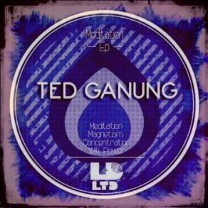 Download track Concentration (Original Mix) Ted Ganung