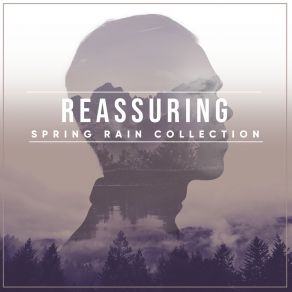 Download track Time To Unwind The Relaxing Sounds Of Swedish Nature