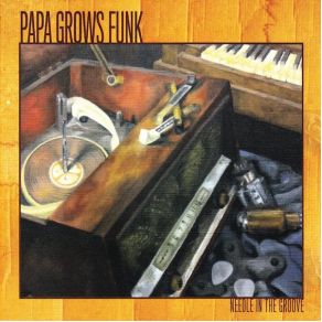 Download track Do U Want It? Papa Grows Funk
