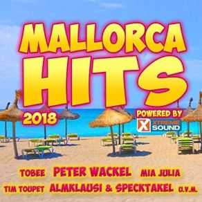 Download track Voll Wie Düse Dj Düse