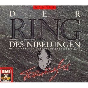 Download track 3a2s01 Mein Vöglein Schwebte Mir Fort! (Siegfried) Richard Wagner