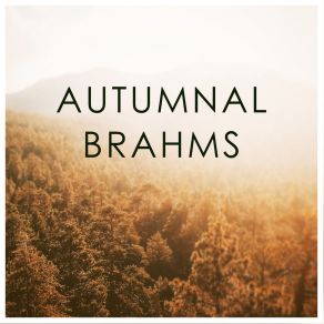 Download track Variations On A Theme By Haydn, Op. 56a: Variation VI: Vivace Berliner Philharmoniker, Berliner Philharmoniker Herbert Von Karajan