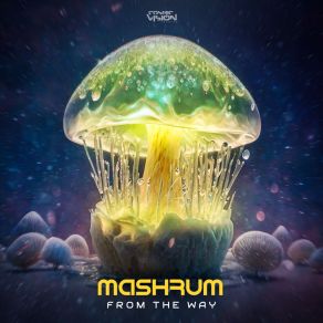 Download track Planetary Alignment Mashrum