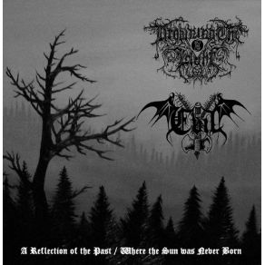 Download track A Reflection Of The Past Evil, Drowning The Light