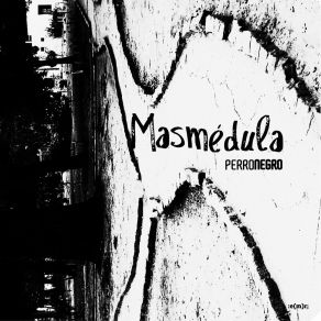 Download track Perro Negro Masmédula