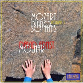 Download track Piano Sonata No. 3 In B-Flat Major, K281 III. Rondeau Allegro David Ernst Molnar