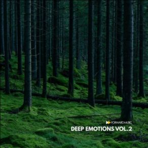 Download track Take The Leap (Davstr3k Remix) Deepshader