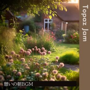 Download track Celestial Alignment Topaz Jam