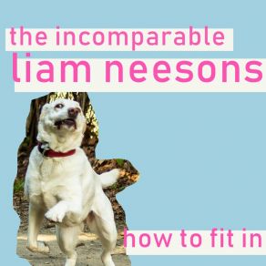 Download track Don't Worry The Incomparable Liam Neesons