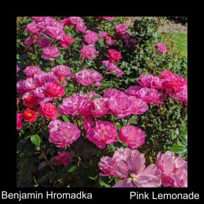 Download track Have A Good One Benjamin Hromadka