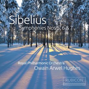Download track 7. Symphony No. 6 In D Minor Op. 104 - IV. Allegro Molto Jean Sibelius