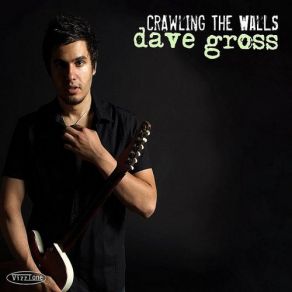 Download track Don't Take Too Long David Gross