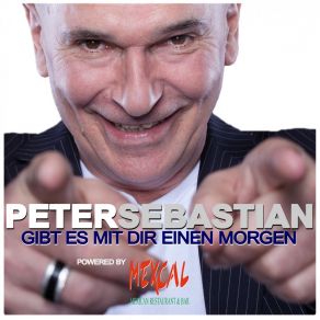 Download track Im Sturm Der Gefühle (Danny Top Mix) Peter Sebastian