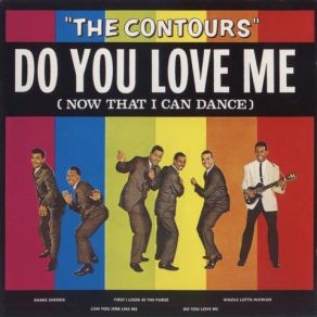 Download track Just A Little Misunderstanding The Contours