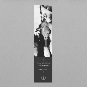 Download track Fall Before You (Original Mix) P. E. A. R. L, Tensal