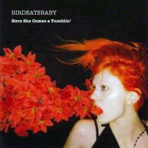 Download track Miserable Birdeatsbaby