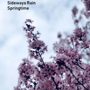 Download track Explain To Me Sideways Rain