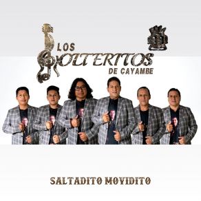 Download track El Transporte Los Solteritos De Cayambe