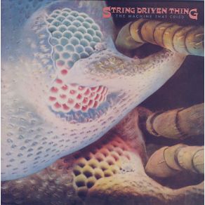 Download track The House String Driven Thing