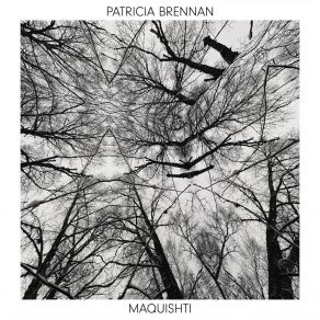 Download track Blame It Patricia Brennan
