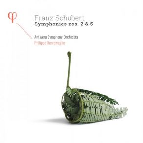 Download track Symphony No. 2 In B-Flat Major, D. 125- I. Largo (Allegro Vivace) Philippe Herreweghe, Antwerp Symphony Orchestra