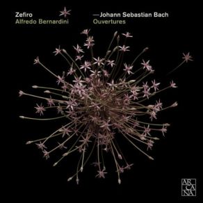 Download track 6. Ouverture No. 1 In C Major BWV 1066 - Menuet 1 2 Johann Sebastian Bach