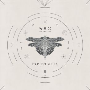 Download track Song Of Trees (Original Mix) Sex Of Insects
