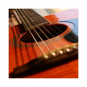 Download track Mellow Reflections Guitar Jazz Café