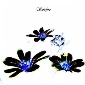 Download track On
