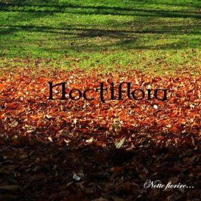 Download track Complex Noctiflora
