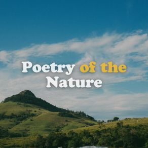 Download track Raining Fish Sounds Of Nature Noise