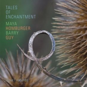 Download track Mystery Sonata No. 9: The Carrying Of The Cross (With Introduction And Interlude By Barry Guy) Maya Homburger, Barry GuyIntroduction
