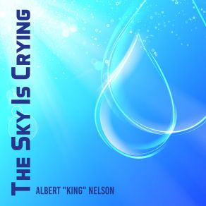 Download track Personal Manager Albert King Nelson