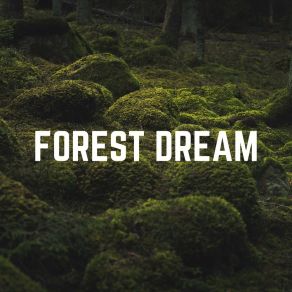 Download track Water Teasing My Toes Sound Of Nature Library