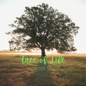 Download track Expansion Slot Object Program Amanda Signh