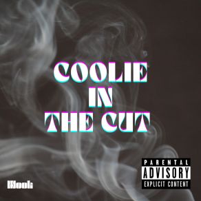 Download track Panoramic View Mook