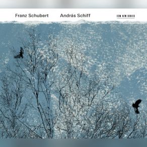 Download track Sonate In G-Dur D 894 Op. 78 - III. Menuett - Allegro Moderato - Trio András Schiff
