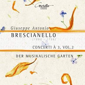Download track 07. Concerto Nono In A Minor I. Allegro Spiccato Giuseppe Antonio Brescianello