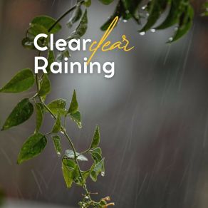 Download track Rain Playlist Rain FX