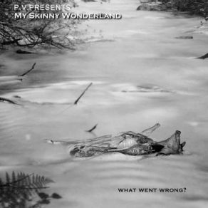 Download track Whodunit Philippe Tasquin