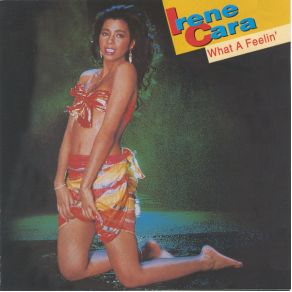 Download track Flashdance (What A Feeling) (Instrumental) Irene Cara